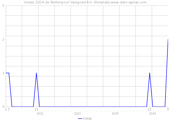 Visitas 2024 de Steltenpool Vastgoed B.V. (Holanda) 