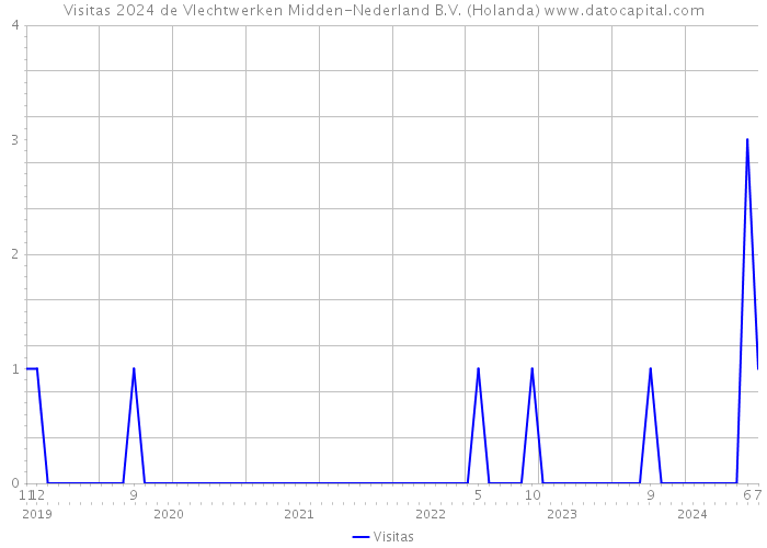 Visitas 2024 de Vlechtwerken Midden-Nederland B.V. (Holanda) 