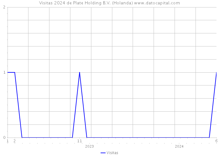 Visitas 2024 de Plate Holding B.V. (Holanda) 