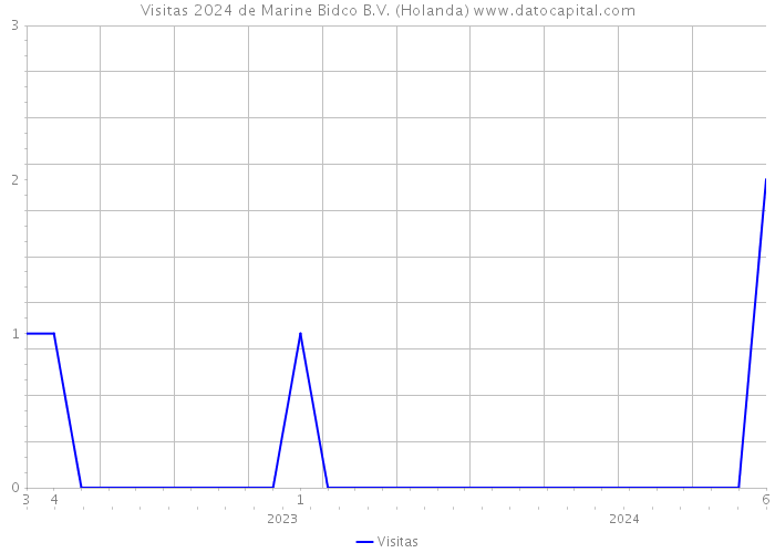 Visitas 2024 de Marine Bidco B.V. (Holanda) 