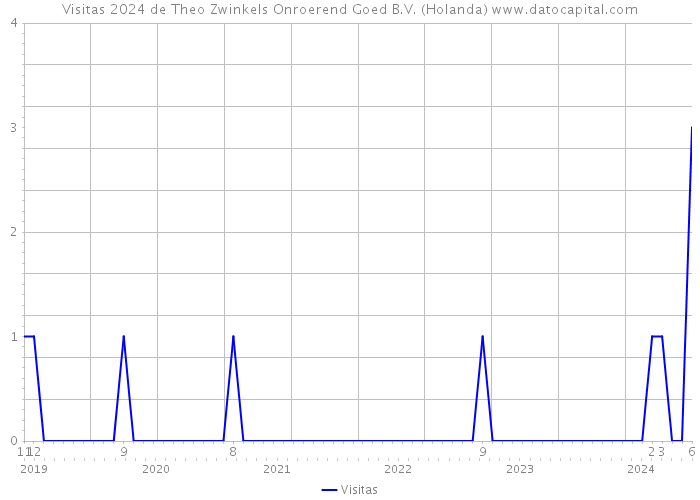 Visitas 2024 de Theo Zwinkels Onroerend Goed B.V. (Holanda) 