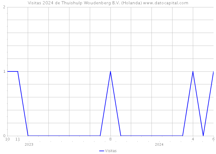 Visitas 2024 de Thuishulp Woudenberg B.V. (Holanda) 