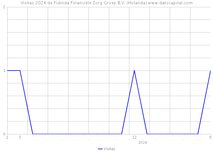 Visitas 2024 de Fidinda Financiële Zorg Groep B.V. (Holanda) 