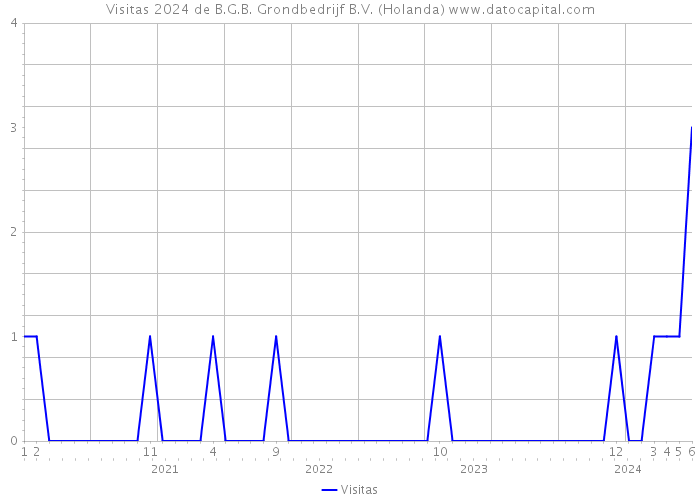 Visitas 2024 de B.G.B. Grondbedrijf B.V. (Holanda) 