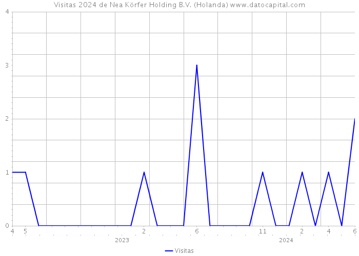 Visitas 2024 de Nea Körfer Holding B.V. (Holanda) 