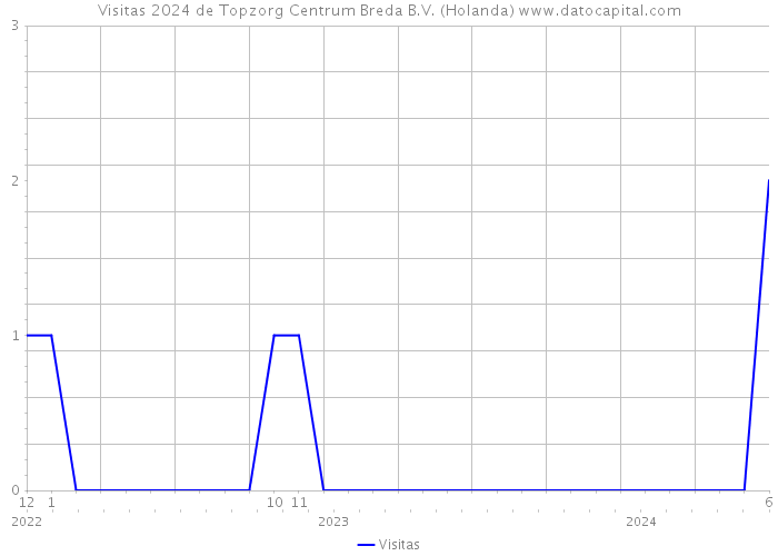 Visitas 2024 de Topzorg Centrum Breda B.V. (Holanda) 