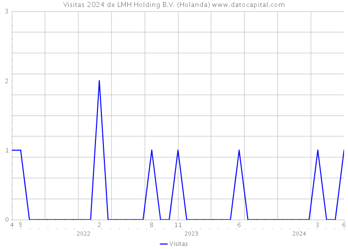 Visitas 2024 de LMH Holding B.V. (Holanda) 