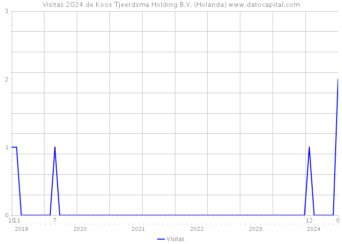 Visitas 2024 de Koos Tjeerdsma Holding B.V. (Holanda) 