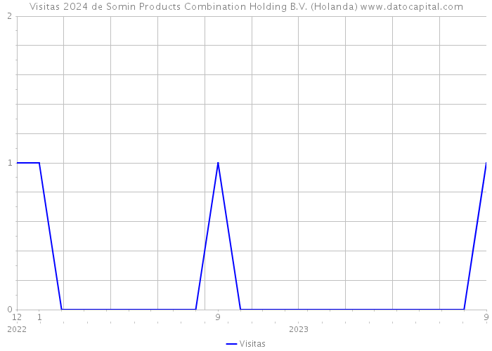 Visitas 2024 de Somin Products Combination Holding B.V. (Holanda) 