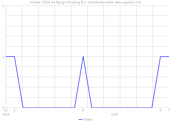 Visitas 2024 de Burgs Holding B.V. (Holanda) 