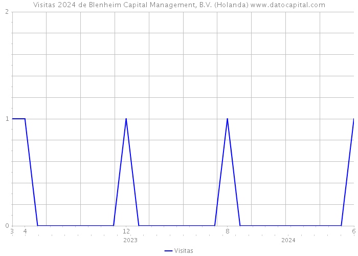 Visitas 2024 de Blenheim Capital Management, B.V. (Holanda) 