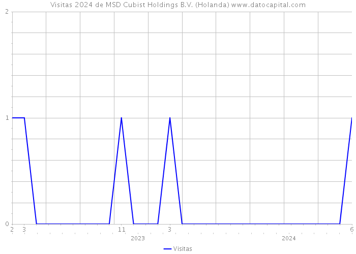 Visitas 2024 de MSD Cubist Holdings B.V. (Holanda) 