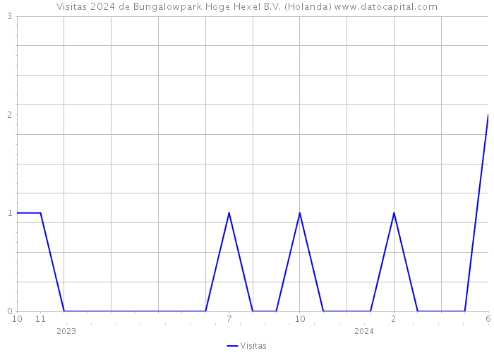 Visitas 2024 de Bungalowpark Hoge Hexel B.V. (Holanda) 