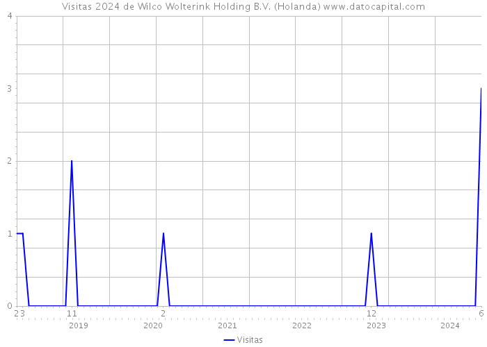 Visitas 2024 de Wilco Wolterink Holding B.V. (Holanda) 