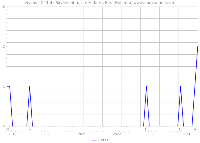Visitas 2024 de Bas Veenhuijsen Holding B.V. (Holanda) 