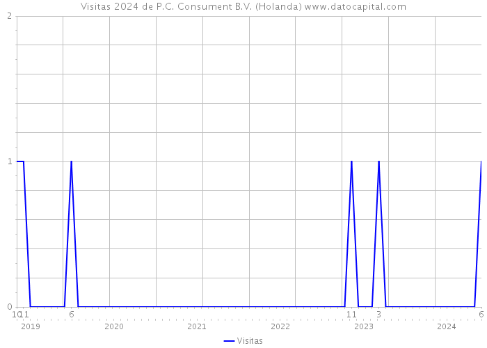 Visitas 2024 de P.C. Consument B.V. (Holanda) 