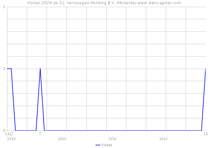 Visitas 2024 de S.J. Versteegen Holding B.V. (Holanda) 