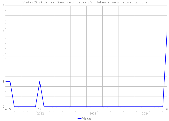 Visitas 2024 de Feel Good Participaties B.V. (Holanda) 