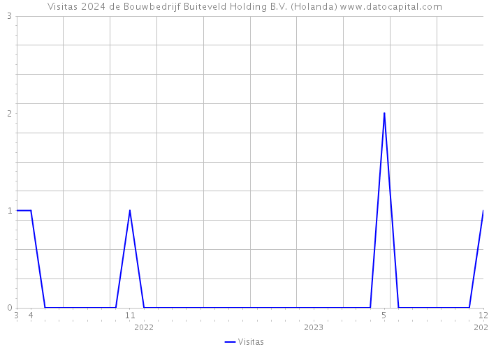 Visitas 2024 de Bouwbedrijf Buiteveld Holding B.V. (Holanda) 