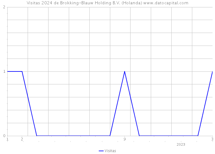 Visitas 2024 de Brokking-Blauw Holding B.V. (Holanda) 