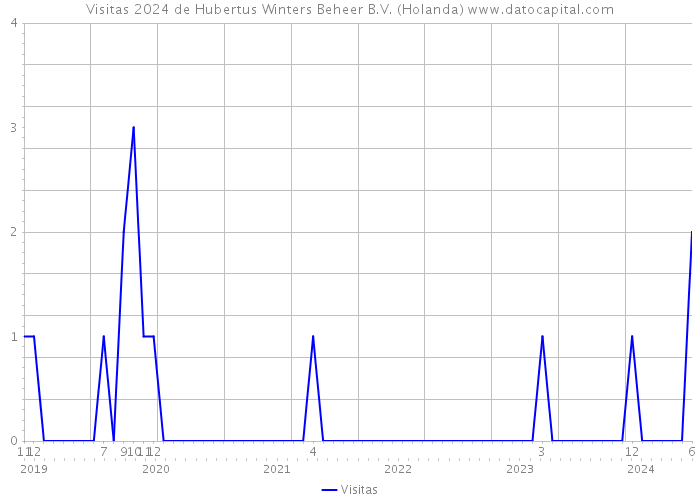 Visitas 2024 de Hubertus Winters Beheer B.V. (Holanda) 