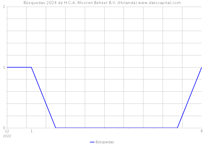 Búsquedas 2024 de H.C.A. Mooren Beheer B.V. (Holanda) 