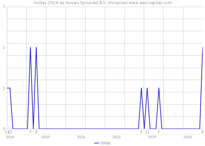 Visitas 2024 de Nouws Sprundel B.V. (Holanda) 