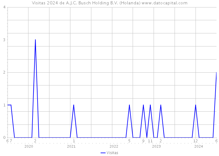 Visitas 2024 de A.J.C. Busch Holding B.V. (Holanda) 