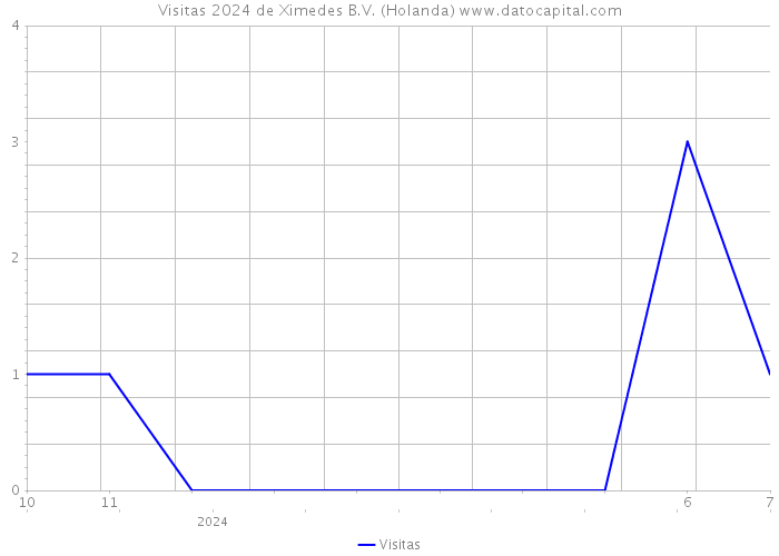 Visitas 2024 de Ximedes B.V. (Holanda) 