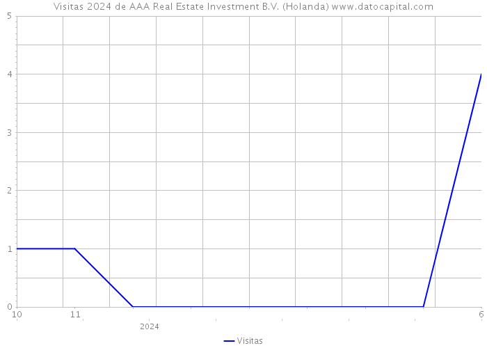 Visitas 2024 de AAA Real Estate Investment B.V. (Holanda) 