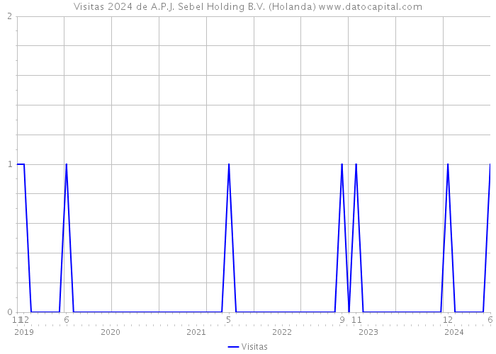 Visitas 2024 de A.P.J. Sebel Holding B.V. (Holanda) 