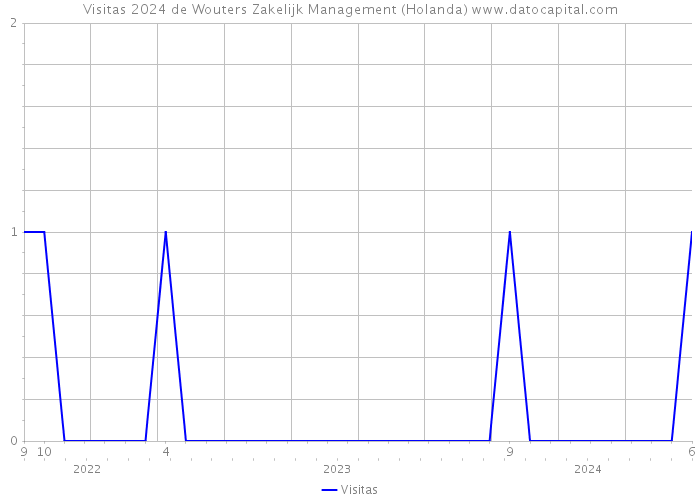 Visitas 2024 de Wouters Zakelijk Management (Holanda) 