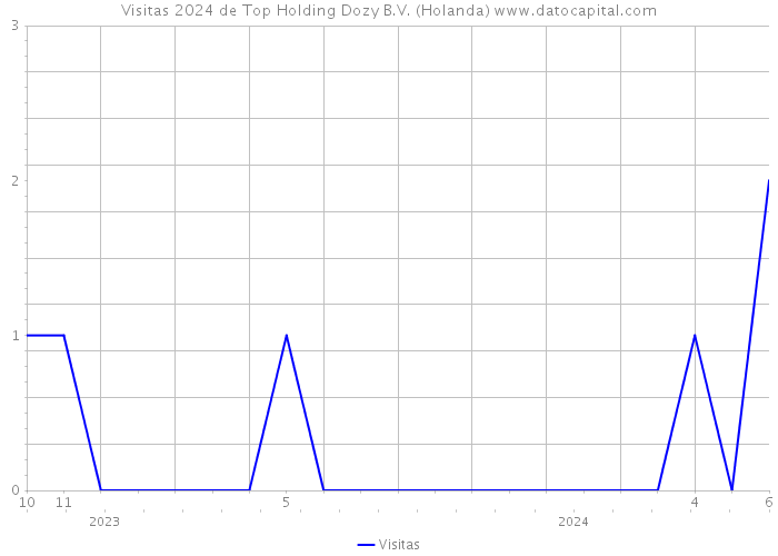 Visitas 2024 de Top Holding Dozy B.V. (Holanda) 