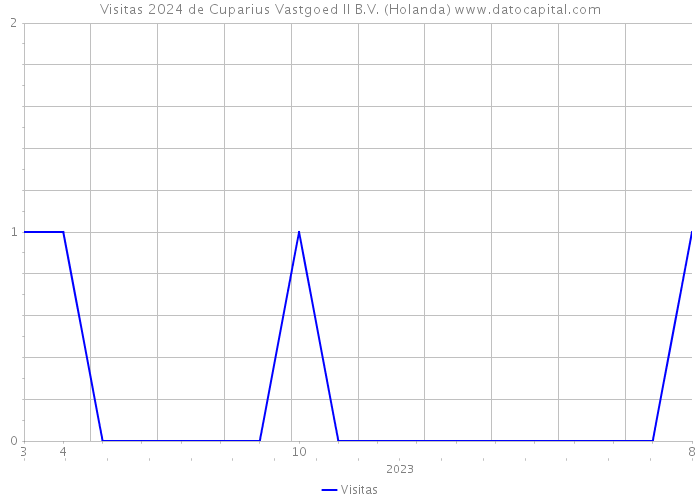 Visitas 2024 de Cuparius Vastgoed II B.V. (Holanda) 