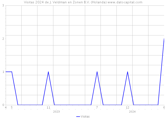 Visitas 2024 de J. Veldman en Zonen B.V. (Holanda) 