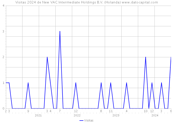 Visitas 2024 de New VAC Intermediate Holdings B.V. (Holanda) 