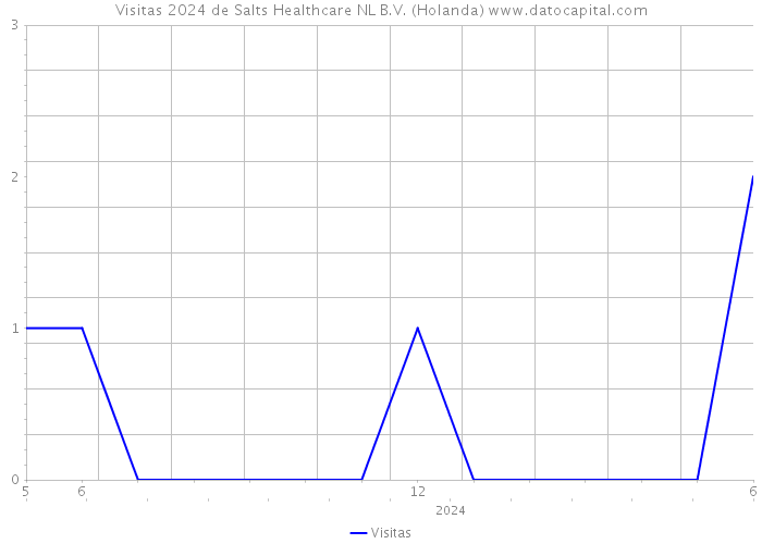 Visitas 2024 de Salts Healthcare NL B.V. (Holanda) 