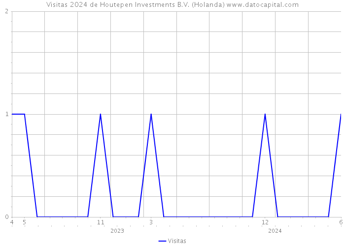 Visitas 2024 de Houtepen Investments B.V. (Holanda) 