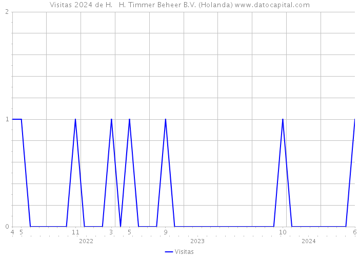 Visitas 2024 de H. + H. Timmer Beheer B.V. (Holanda) 