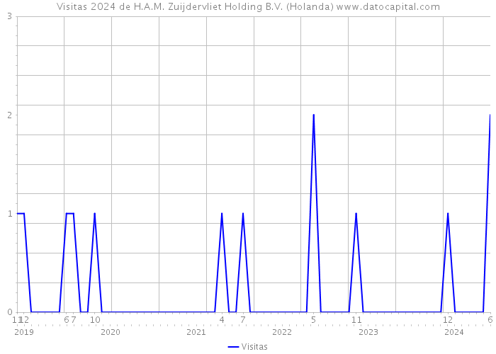 Visitas 2024 de H.A.M. Zuijdervliet Holding B.V. (Holanda) 