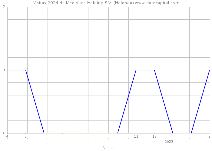 Visitas 2024 de Mea Vitae Holding B.V. (Holanda) 