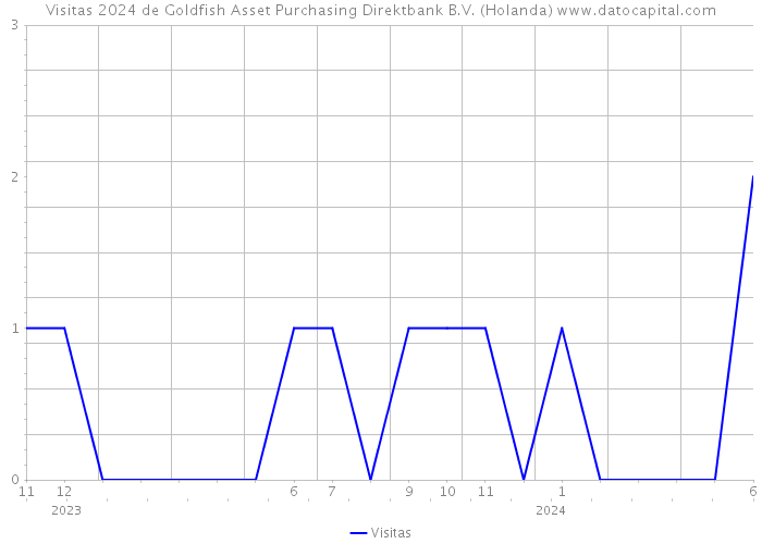 Visitas 2024 de Goldfish Asset Purchasing Direktbank B.V. (Holanda) 