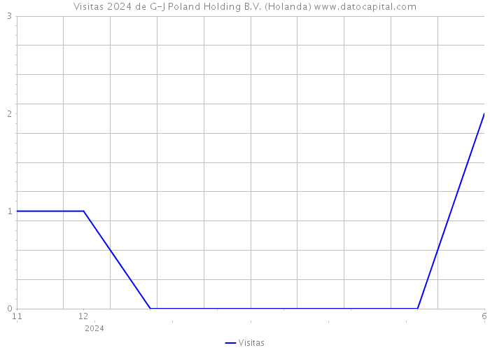 Visitas 2024 de G-J Poland Holding B.V. (Holanda) 