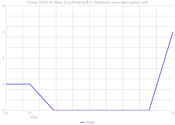 Visitas 2024 de Black Dog Holding B.V. (Holanda) 