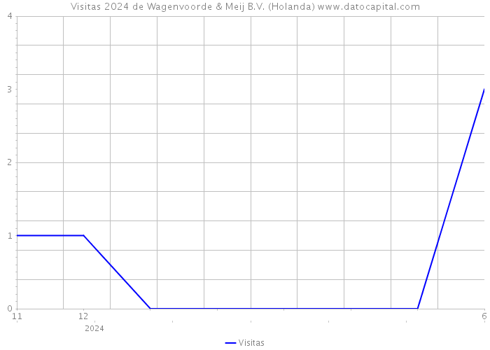 Visitas 2024 de Wagenvoorde & Meij B.V. (Holanda) 