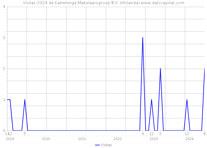 Visitas 2024 de Kamminga Makelaarsgroep B.V. (Holanda) 