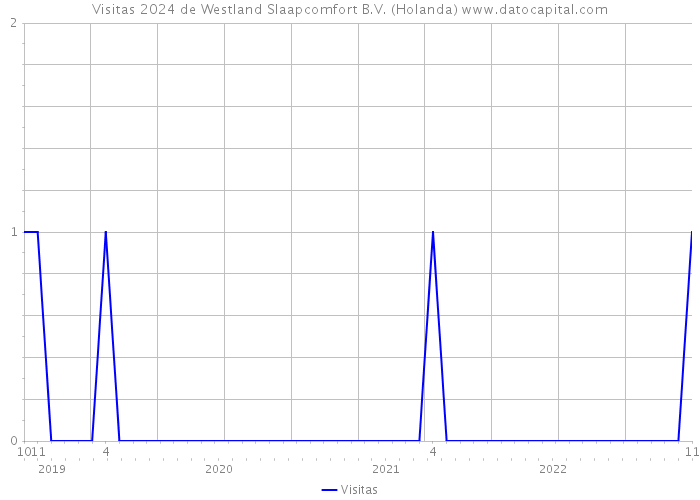 Visitas 2024 de Westland Slaapcomfort B.V. (Holanda) 