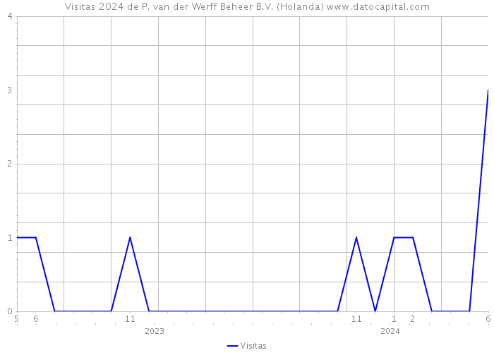 Visitas 2024 de P. van der Werff Beheer B.V. (Holanda) 