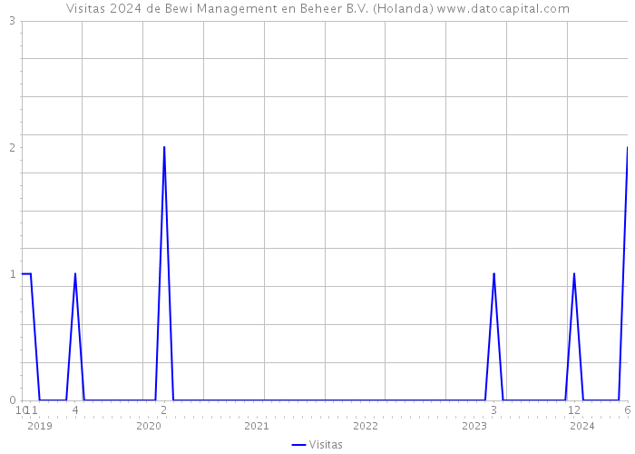Visitas 2024 de Bewi Management en Beheer B.V. (Holanda) 