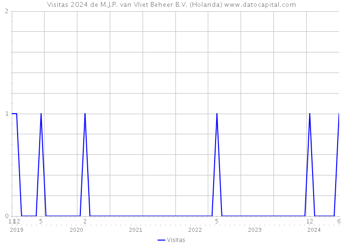 Visitas 2024 de M.J.P. van Vliet Beheer B.V. (Holanda) 